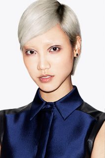 The Latest Hairstyle Trend – Short & Chic Hair The Latest Hairstyle Trend – Short & Chic Hair