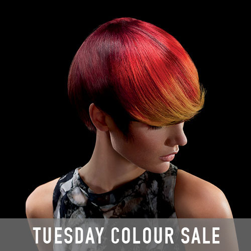 Hair Colour Sale at Reeds Hair Salons in Cambridge, Sawston & Bury St Edmunds Hair Colour Sale at Reeds Hair Salons in Cambridge, Sawston & Bury St Edmunds